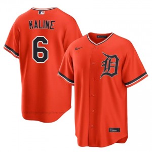 #6 Al Kaline Gameday Men Baseball Jersey | DET Orange Fan Gear 40450163