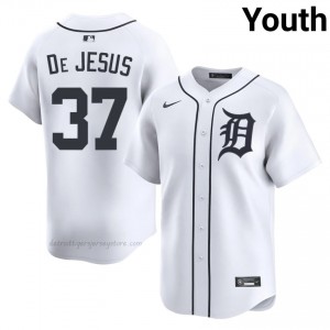 White Enmanuel De Jesus #37 DET Tigers Baseball Sewn Jersey | Limited Youth Fit 20236948