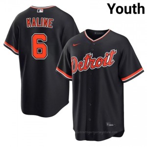 Al Kaline #6 Detroit Baseball Jersey | Officially Licensed Youth Navy Embroidery Edition 68616835